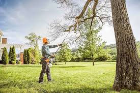 Lawn Renovation and Restoration in Fitchburg, MA