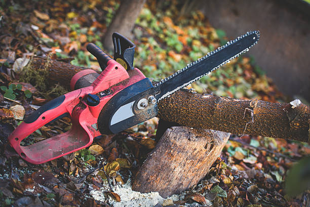 Mulching Services in Fitchburg, MA